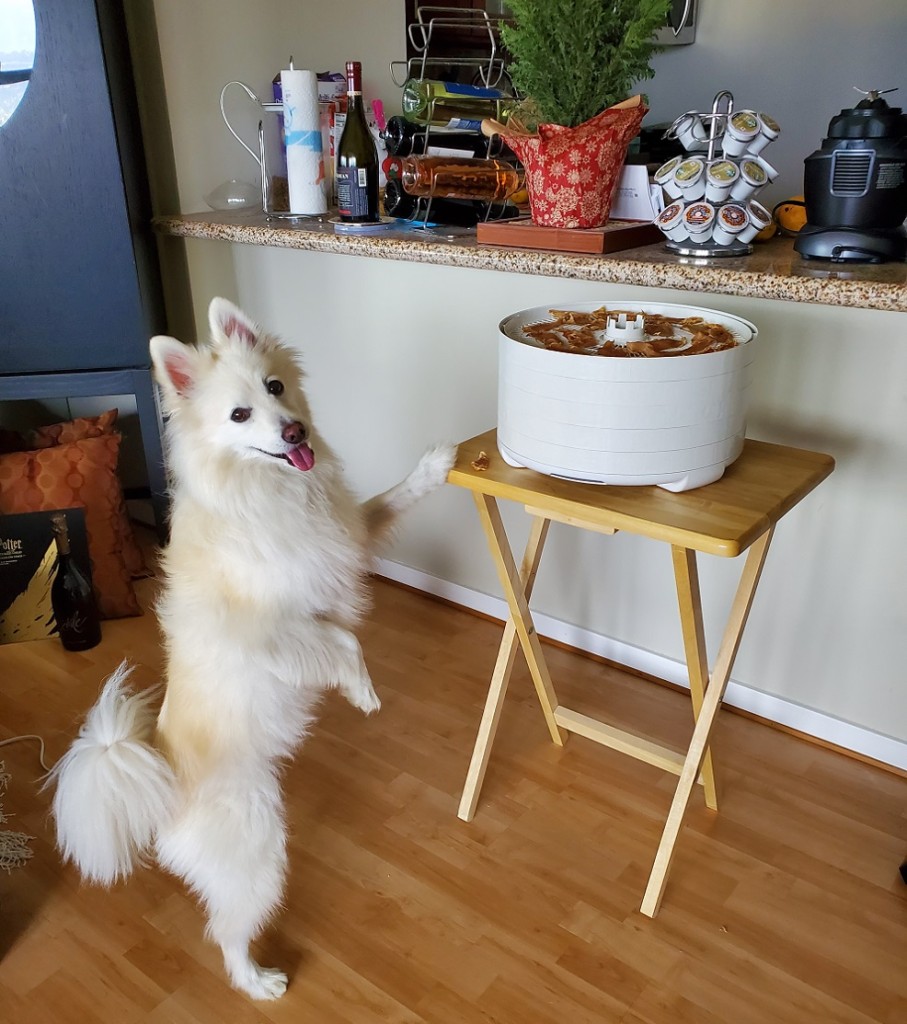 Homemade dog treats