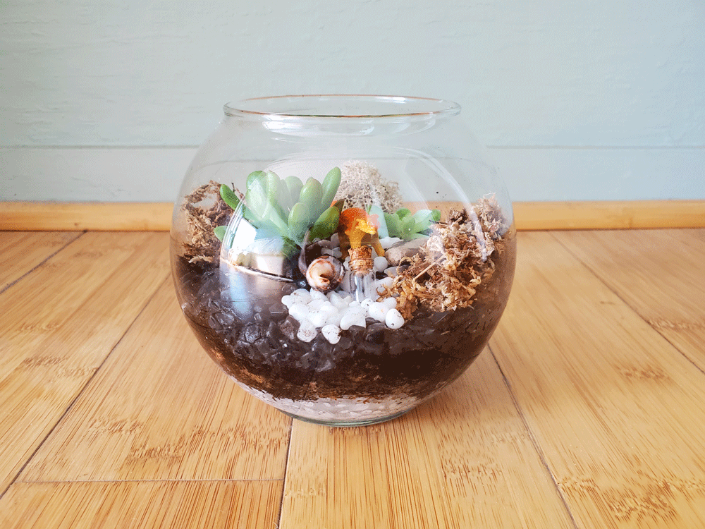 Starry Nights Terrarium Kit